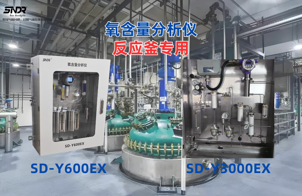 原料藥制藥反應(yīng)釜工藝使用氧含量分析儀的作用及意義.jpg