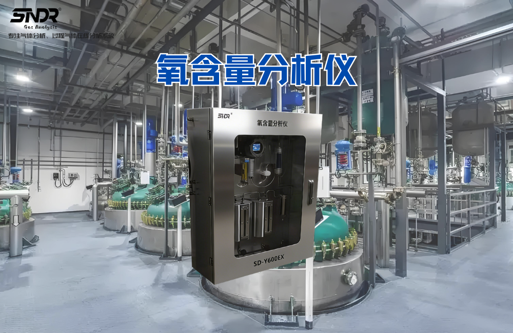 SD-Y600EX防爆氧含量分析儀系統(tǒng).png